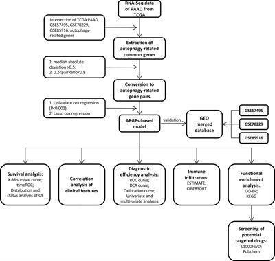 Identification of an Autophagy-Related Pair Signature for Predicting Prognoses and Immune Activity in Pancreatic Adenocarcinoma